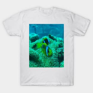 Clownfish T-Shirt